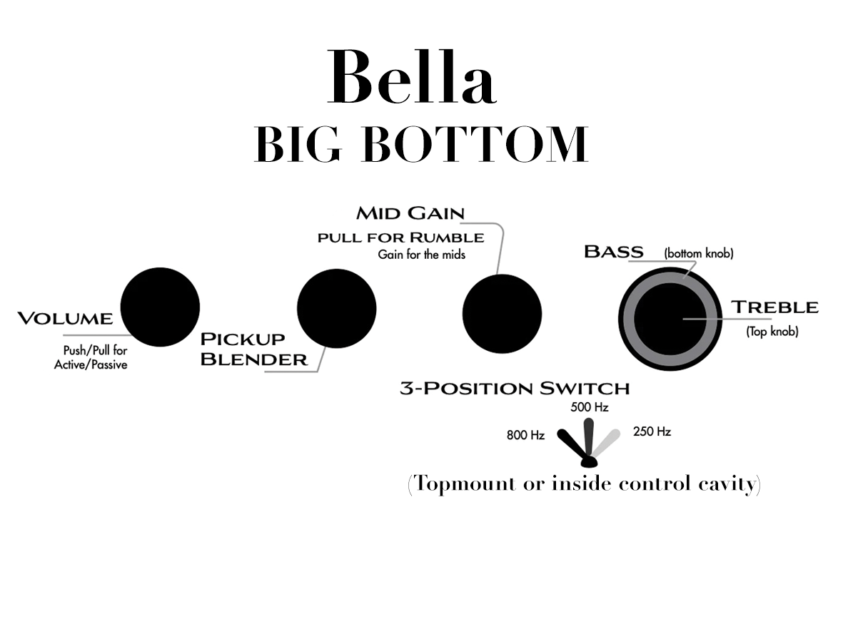 2024 Big Bottom Preamp - Bella Bass