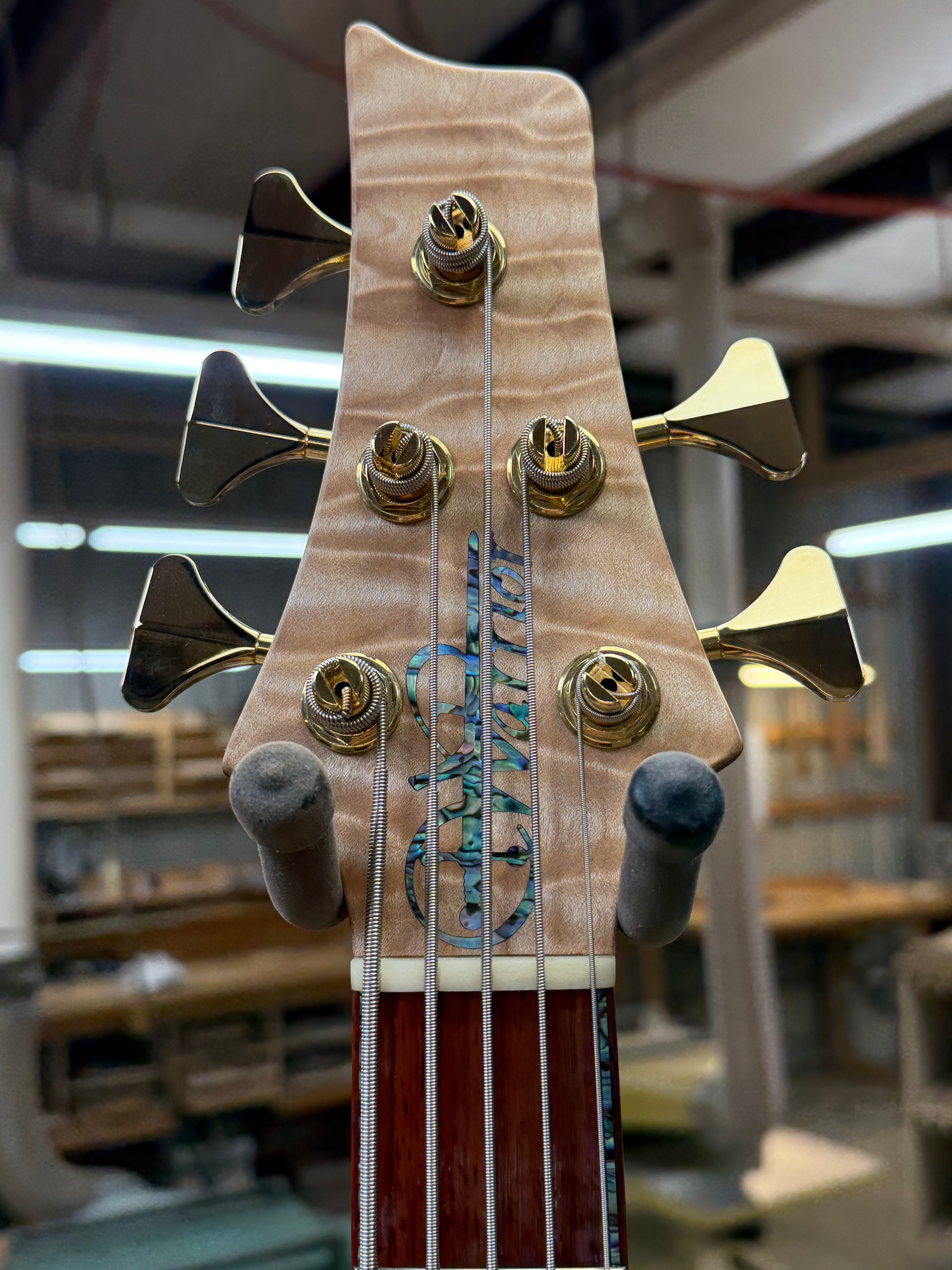 Isabella Neck Thru 5 String