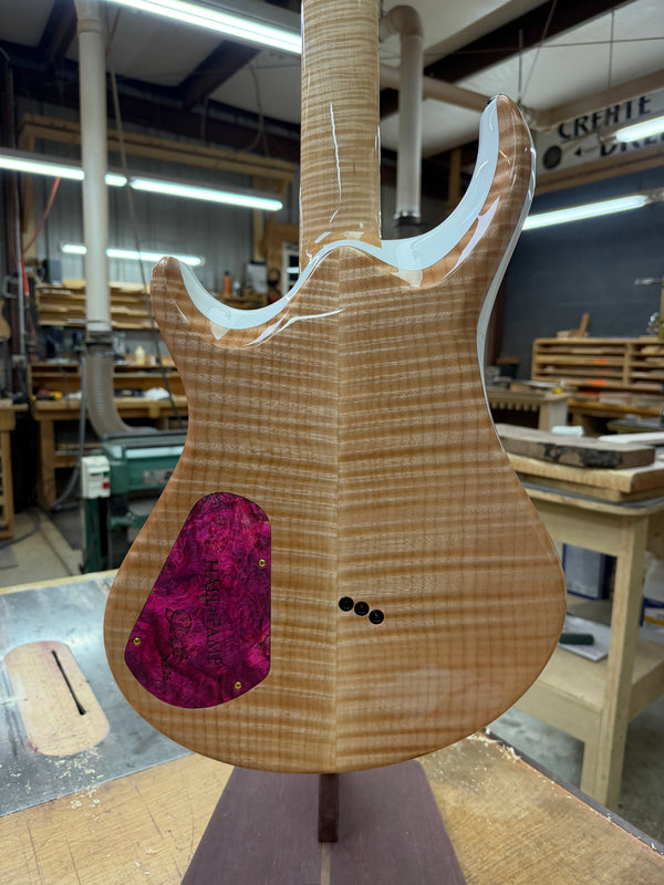 Dran Michael Guitar "Hall of Fame"