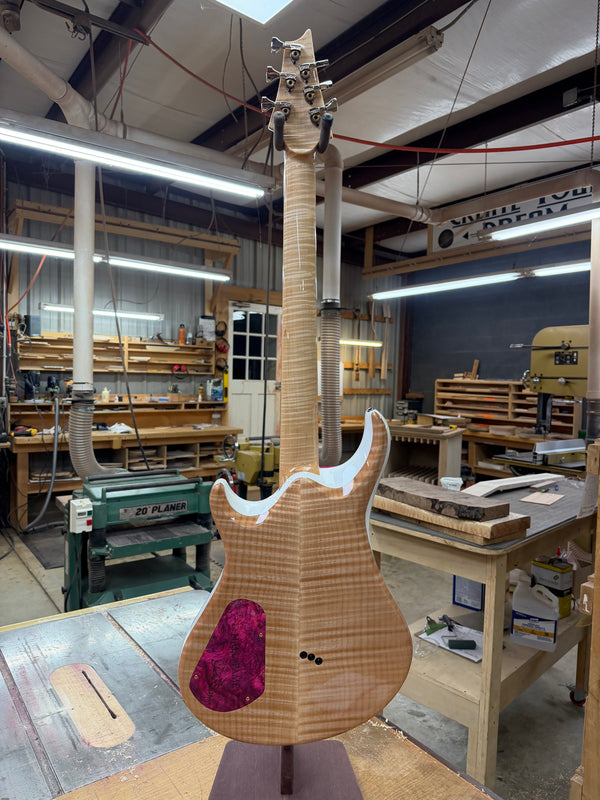 Dran Michael Guitar "Hall of Fame"