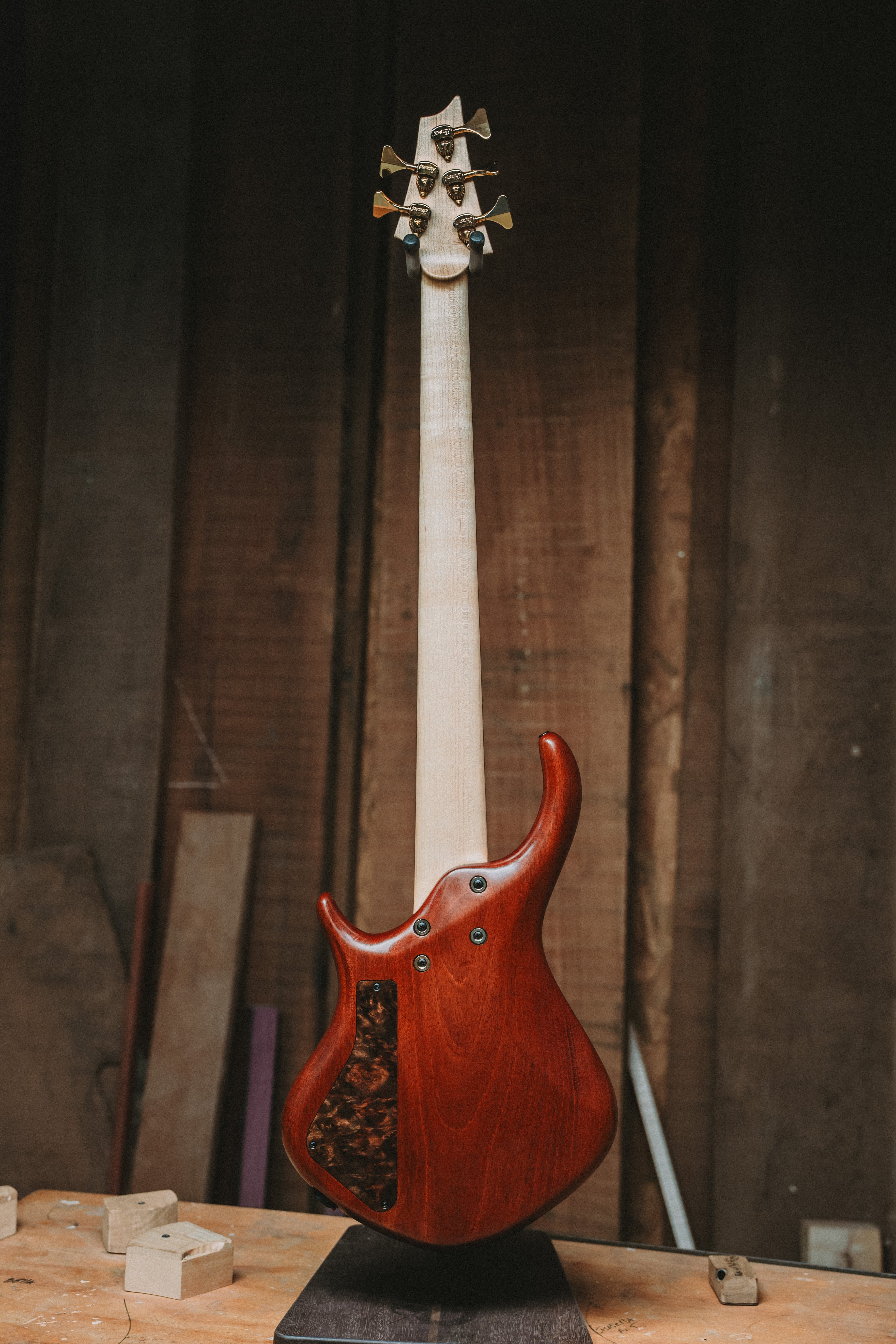 Warrior Dran Michael Burl Walnut 5 string Custom NEW