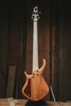 Warrior Dran Michael Custom Blue Dyed Burl 5 string NEW