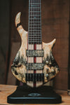Warrior Dran Michael 6 string Neck Through Buckeye Burl Bass