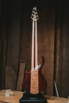 Warrior Dran Michael 6 string Neck Through Buckeye Burl Bass