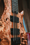 Isabella 2026 5 string Neck Through Burl Custom Bass