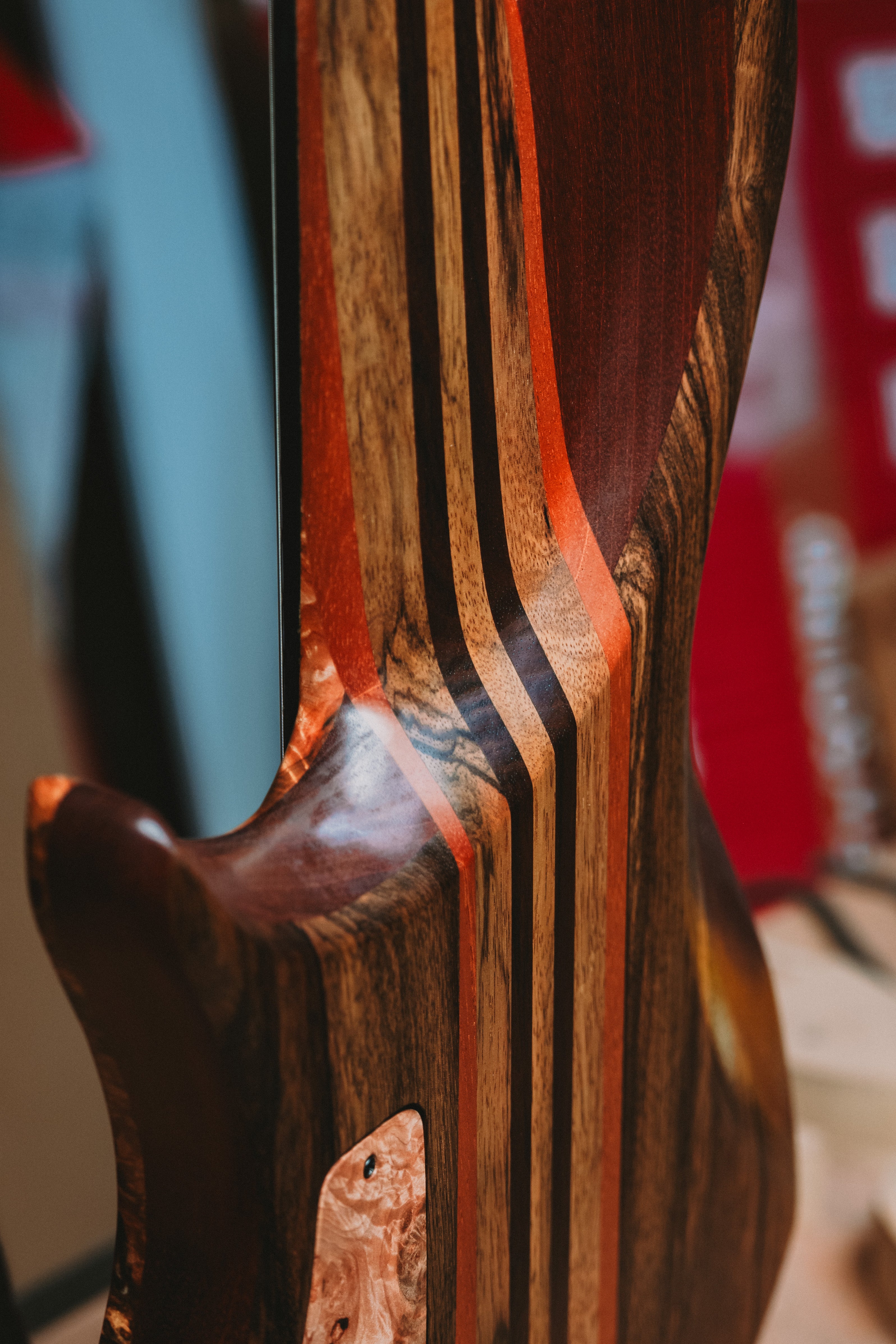 Isabella 2026 5 string Neck Through Burl Custom Bass