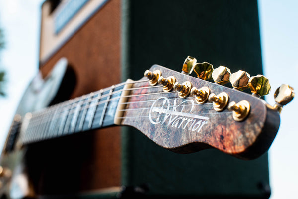 Warrior "The Peacock" 30th Anniversary T-Bird