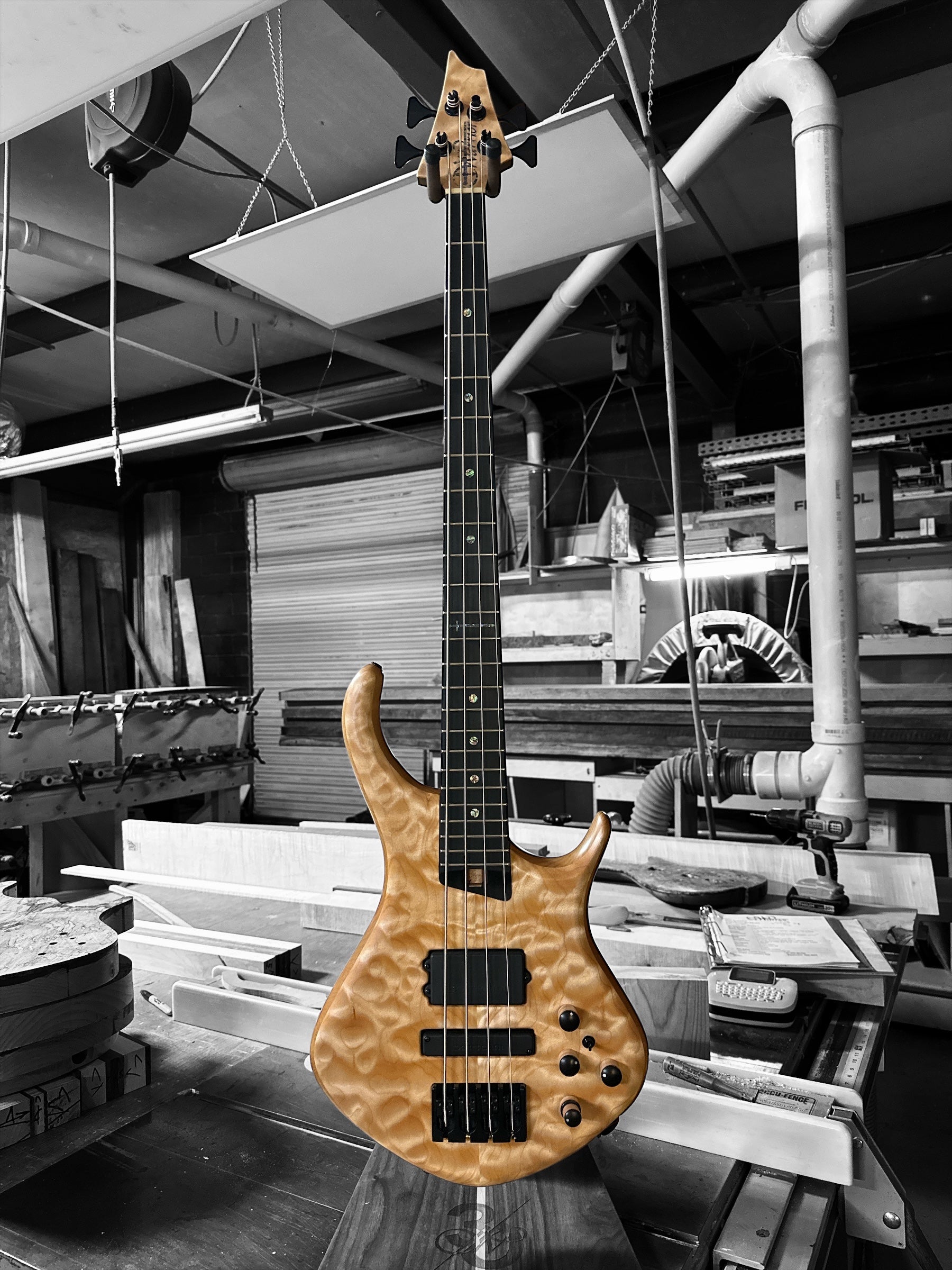 DM 4 STRING BASS