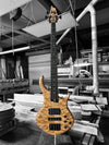 DM 4 STRING BASS