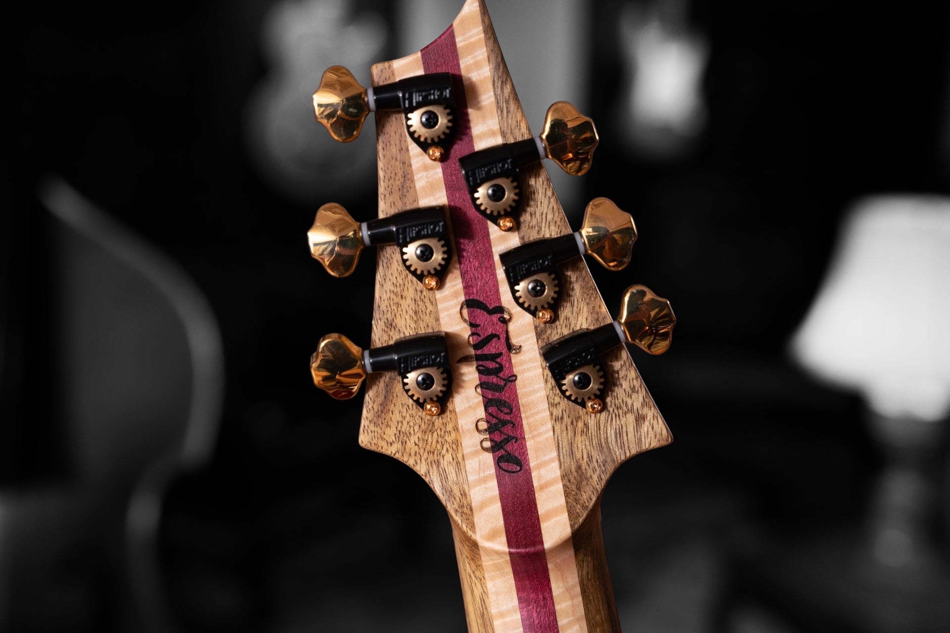 Warrior Dran Michael Guitar Espresso