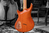 Warrior Dran Michael Guitar Eldorado