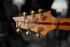 Warrior Dran Michael Guitar Eldorado