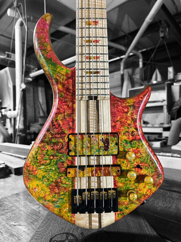 Coat of Many Colors neck thru Dran Michael Annviersary Bass
