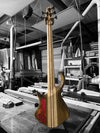 Coat of Many Colors neck thru Dran Michael Annviersary Bass