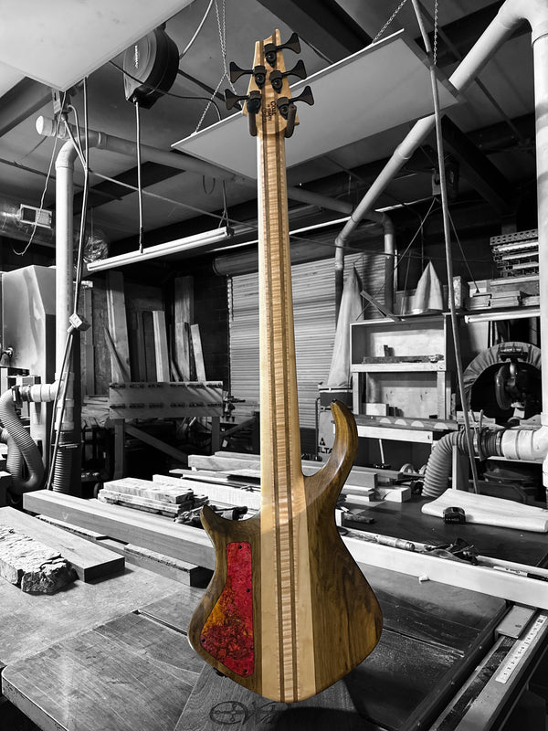 Coat of Many Colors neck thru Dran Michael Annviersary Bass
