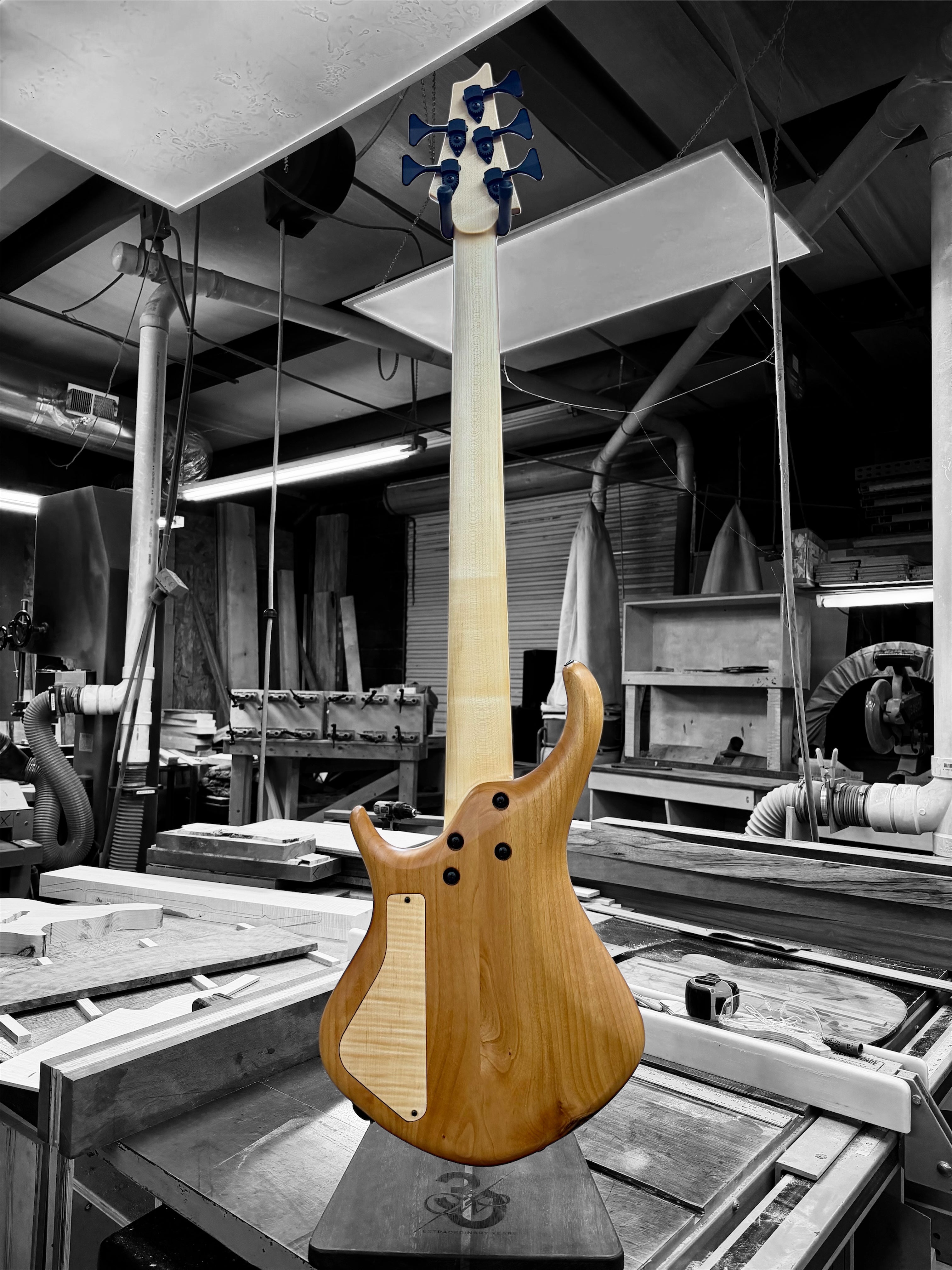 DM5 Quilt Maple