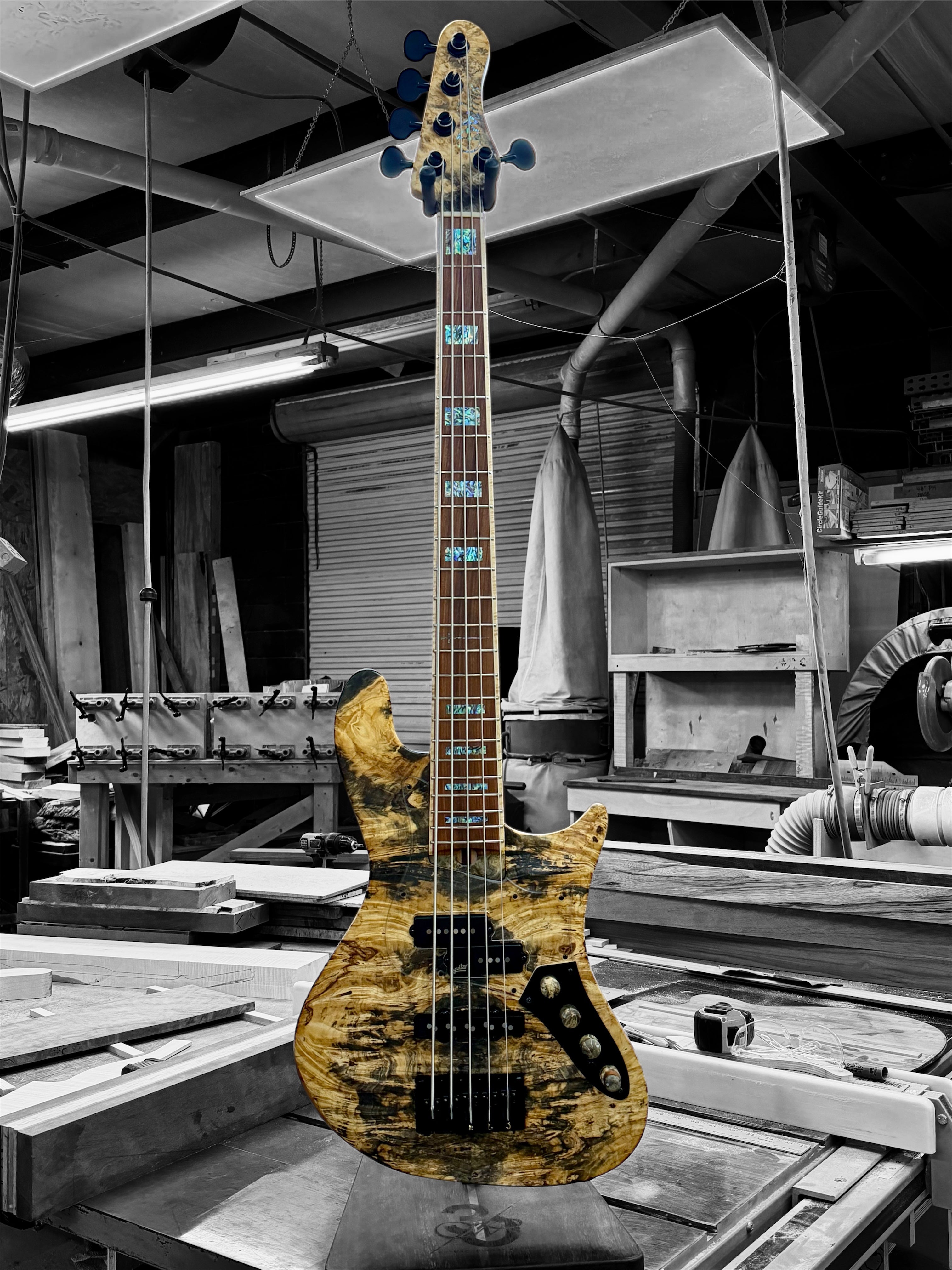 Warrior Isla J 5 String PJ 