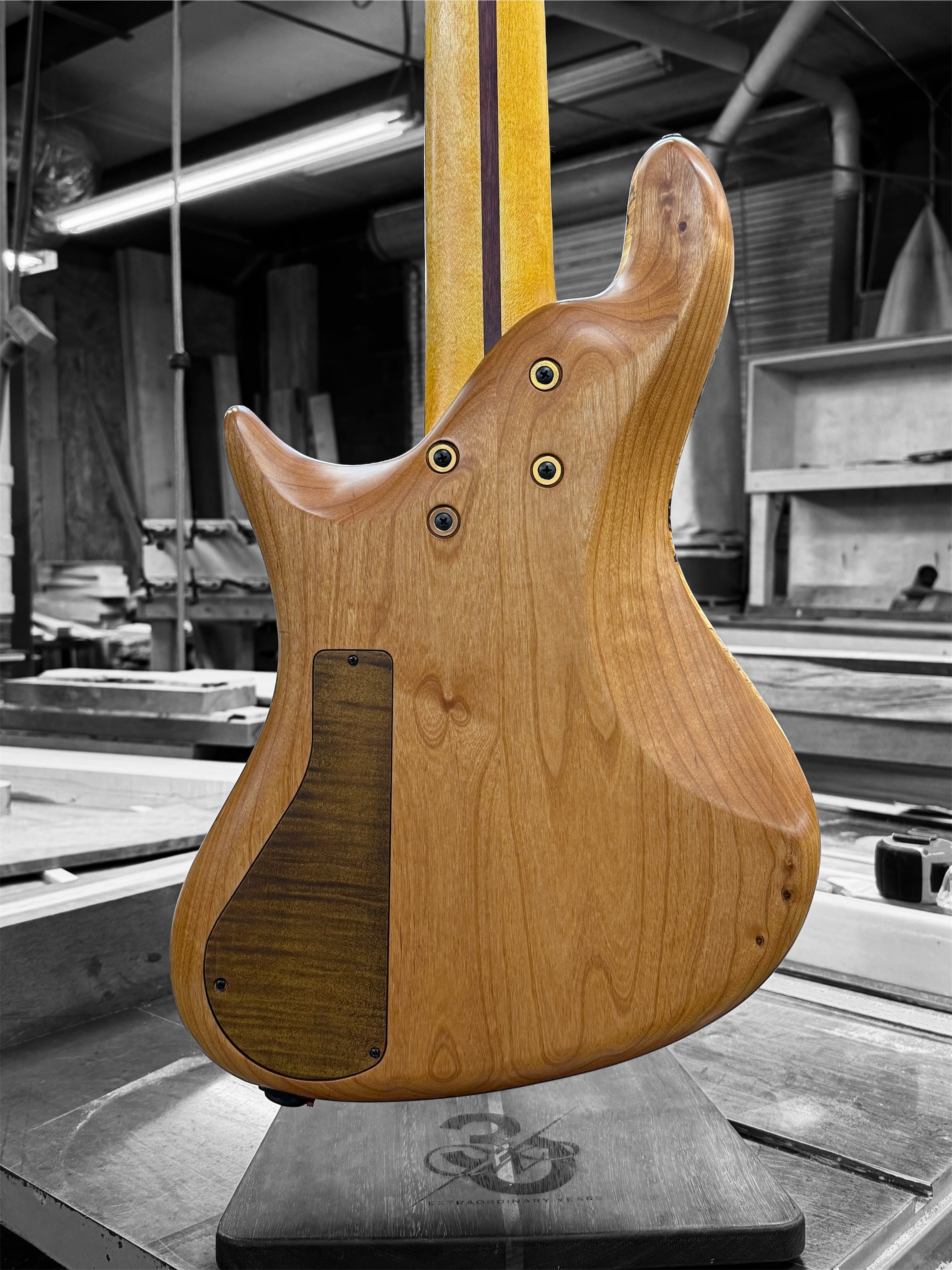 Warrior Isla J 5 String PJ 