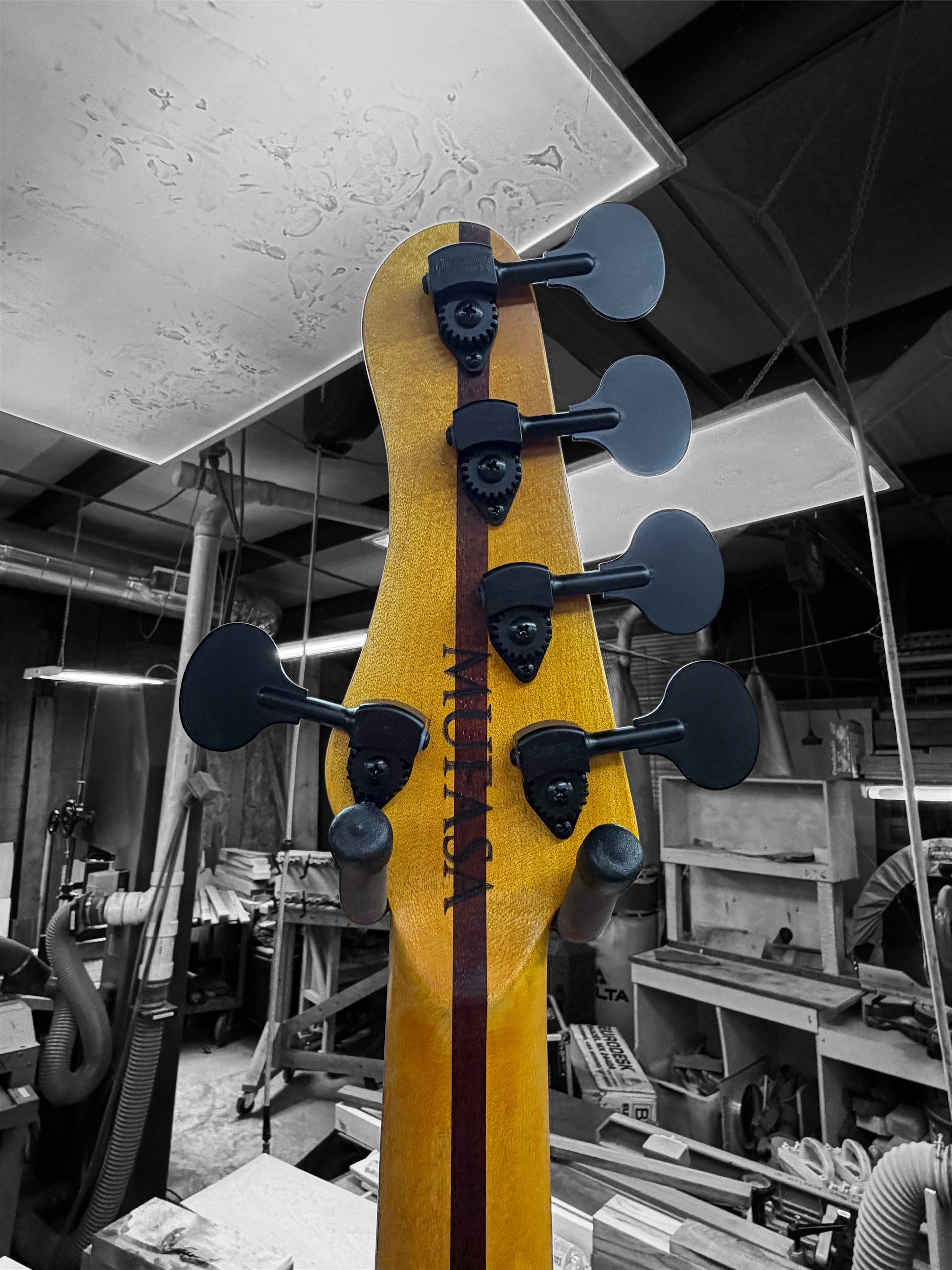 Warrior Isla J 5 String PJ 