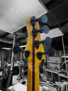 Warrior Isla J 5 String PJ "Mufasa"