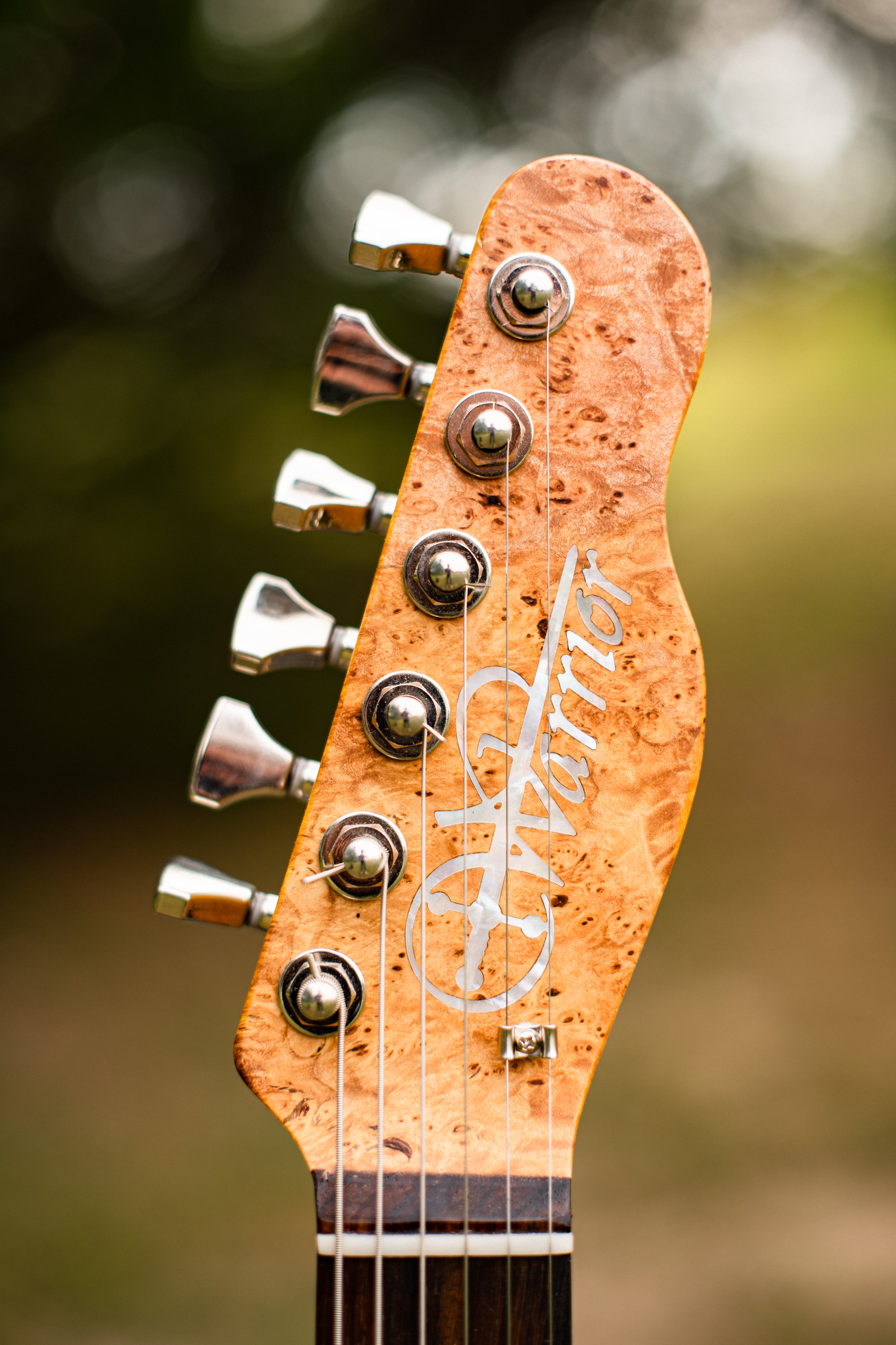 Warrior 30th Anniversary T Bird #3