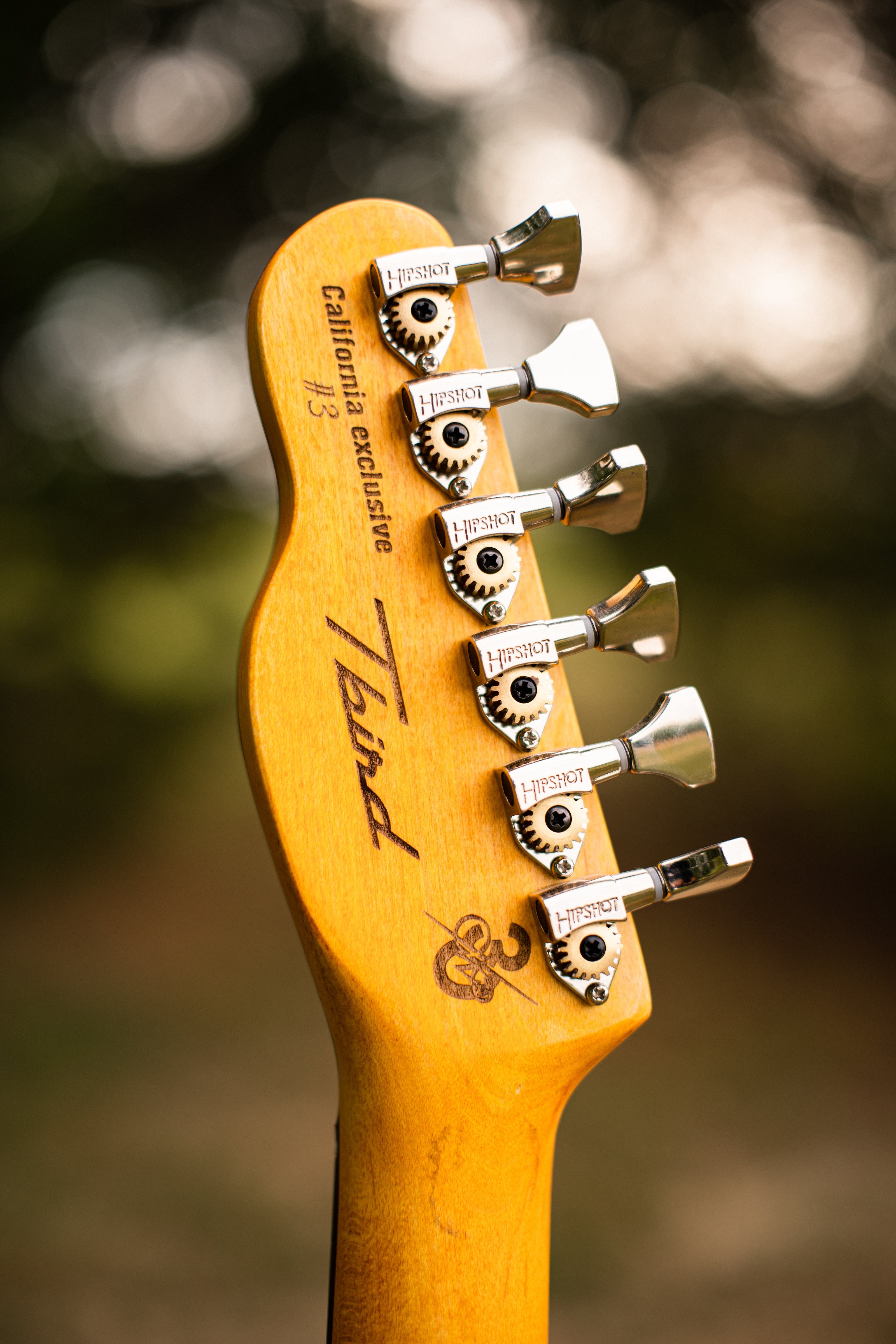 Warrior 30th Anniversary T Bird #3
